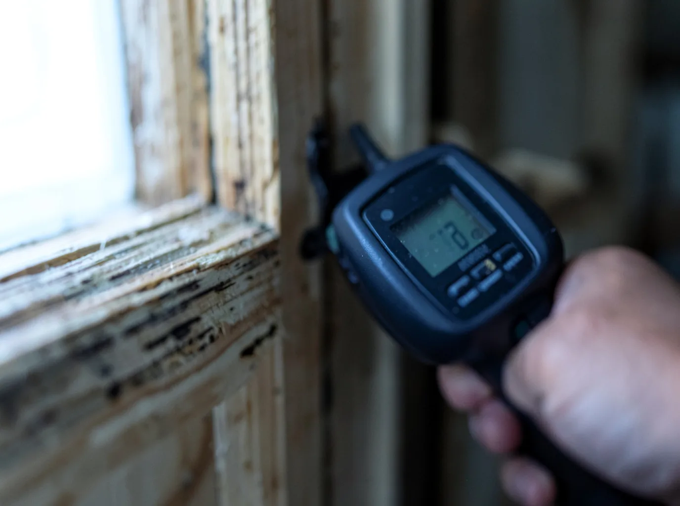 Moisture Inspection And Documentation in Mumford, TX